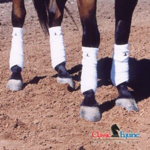 Classic-Equine-Polos-500x500-1.jpg