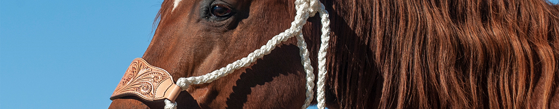 halters-Leads-banner