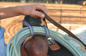 Horse Equipment Suppliers | Australian Cashel & Equibrand Distributor ...