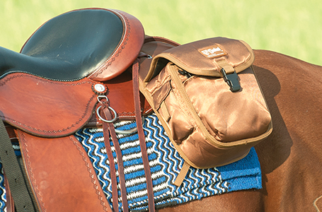 saddle-bags