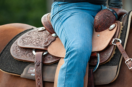 saddle-pads