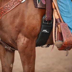 aucinchr26_2