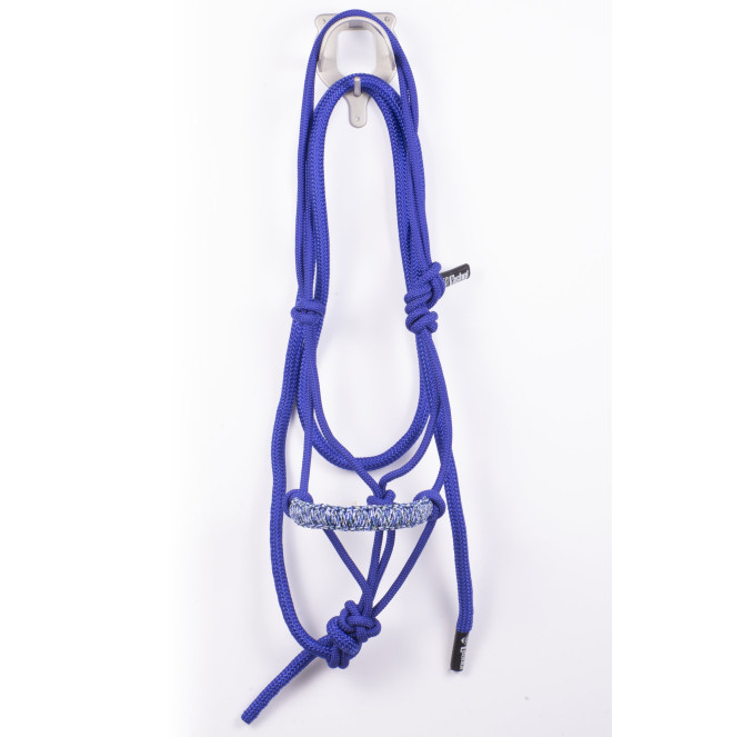 htr-bnrh-blca_1736355287