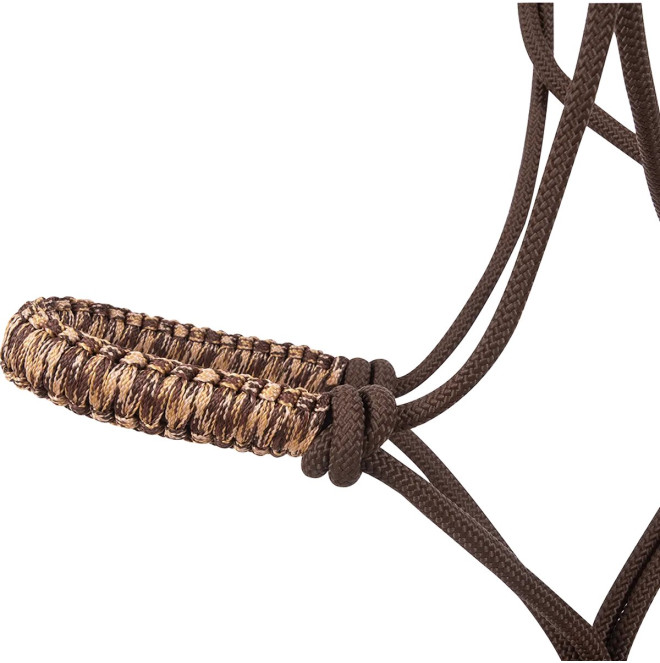 htr-bnrh-brca_1734712714