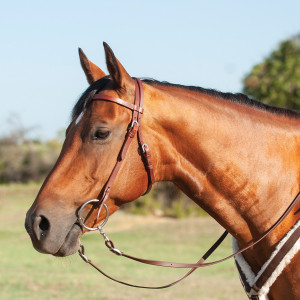 Cashel Harness Leather Browband Headstall